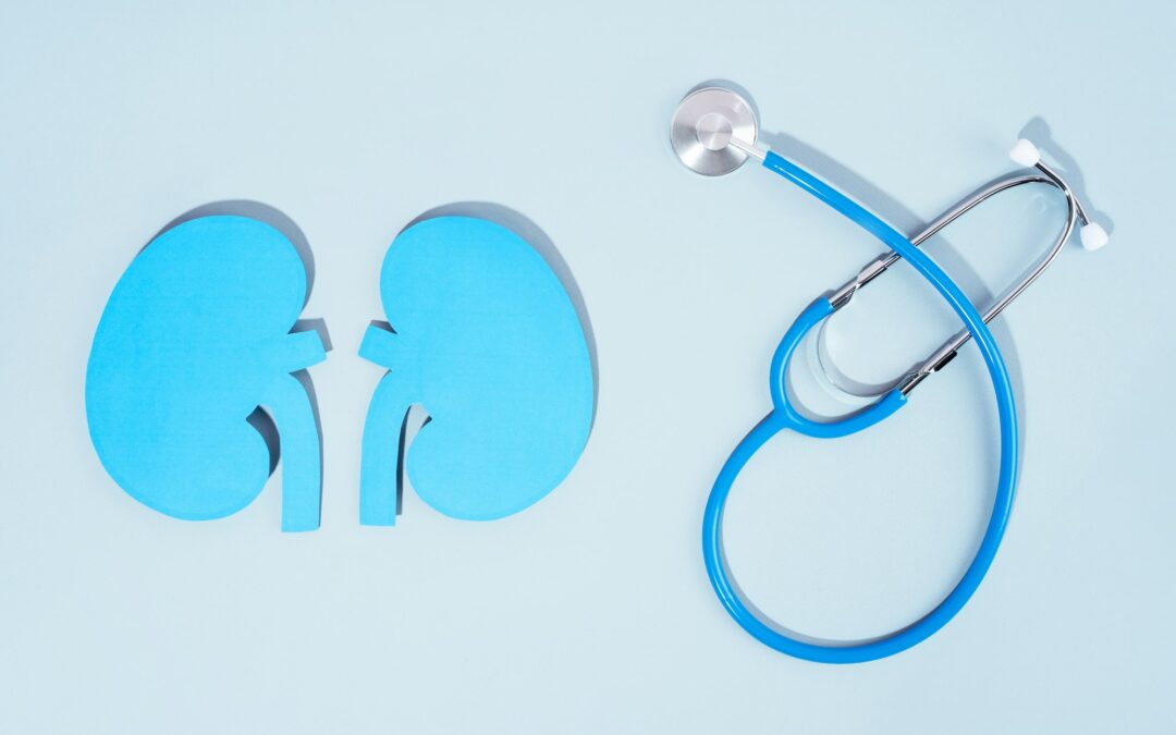 What is Renal Artery Stenting?