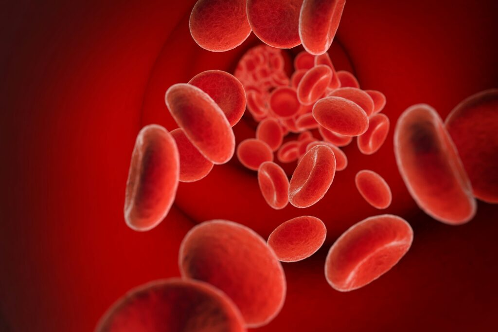 red cells in bloodstream